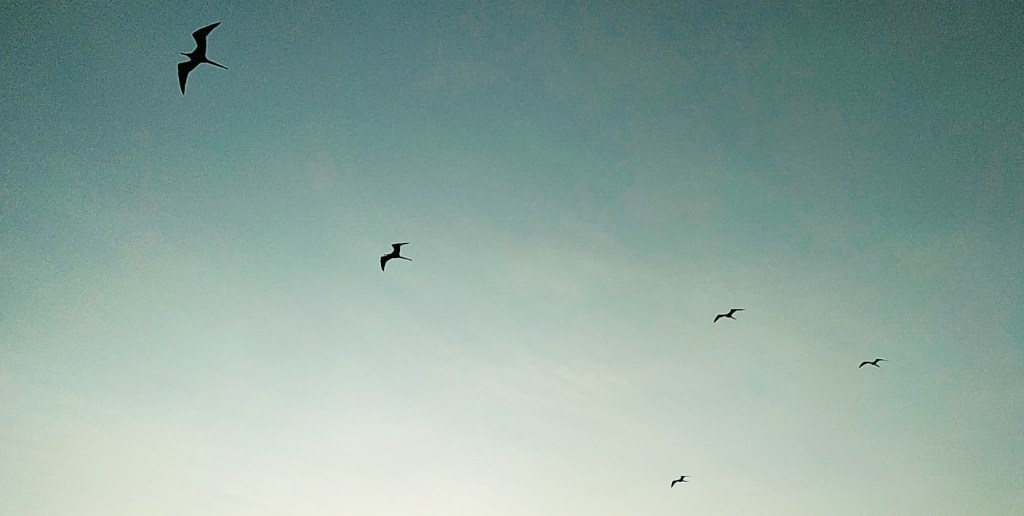 A message for&nbsp;you